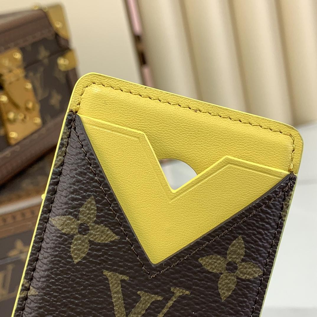 Louis Vuitton Porte-Cartes Magnet  M12853 - EUR FASHION