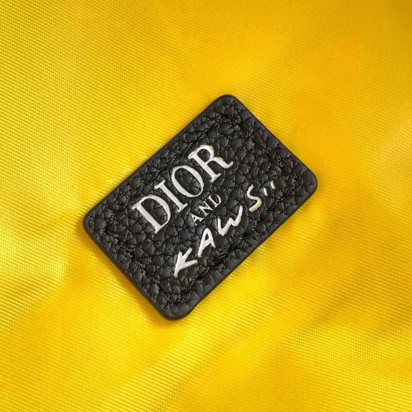 Dior And Kaws Rider 2.0 Zipped Backpack  - EUR FASHION