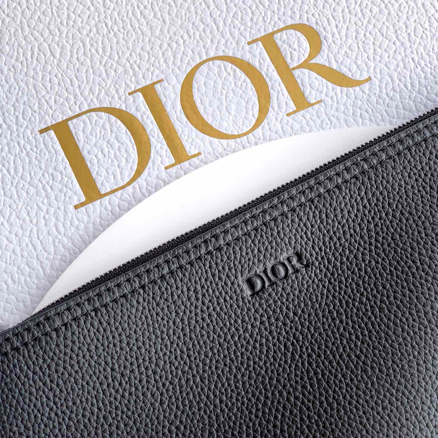Dior Privé Tote Bag  - EUR FASHION