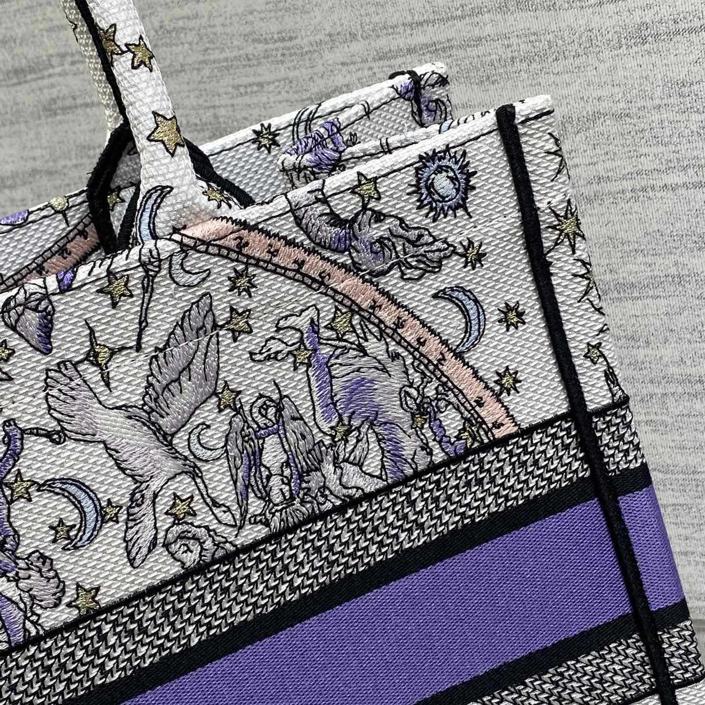 Dior Lucky Medium Dior Book Tote - EUR FASHION
