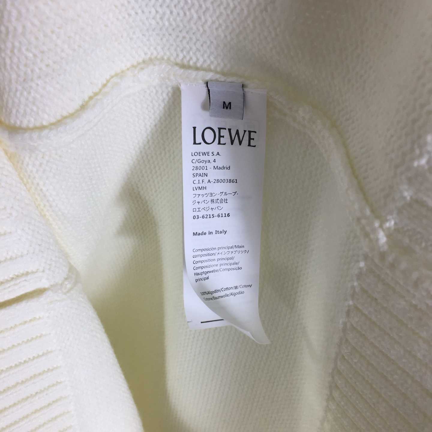 Loewe Sweater In Wool - EUR FASHION