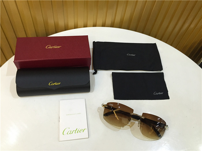 Cartier 4189705 White Mix Black Buffalo Sonnenbrille in Silber - EUR FASHION