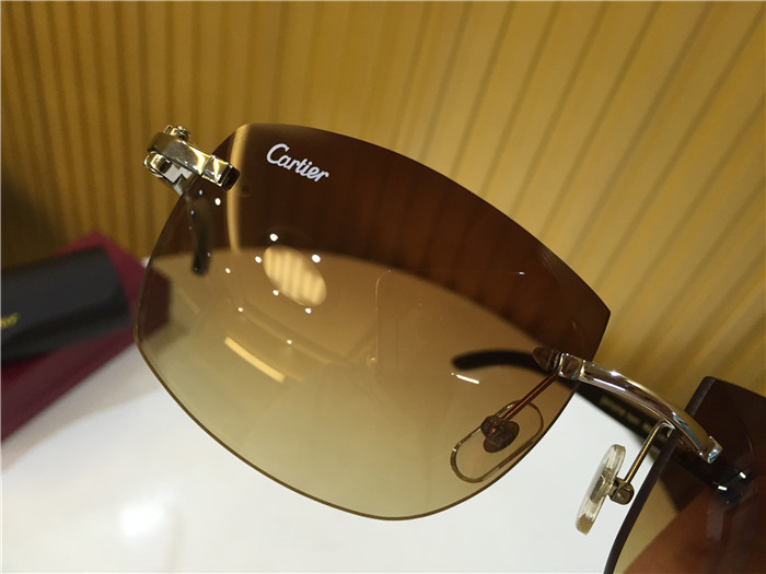 Cartier 4189705 White Mix Black Buffalo Sonnenbrille in Silber - EUR FASHION