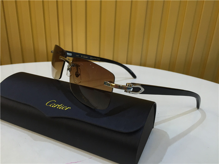 Cartier 3524012 Schwarze Rinderhornbrille in Silber - EUR FASHION