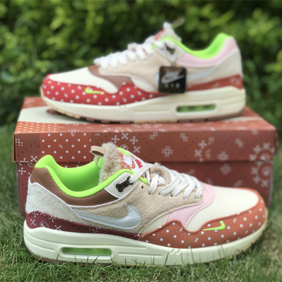 Nike Air Max 1 PRM „Best Friend“ Sneaker DR2553-111 - EUR FASHION