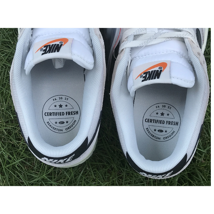 Nike Dunk Low Retro SE''Certifled Fresh''Sneaker DO9776-001 - EUR FASHION