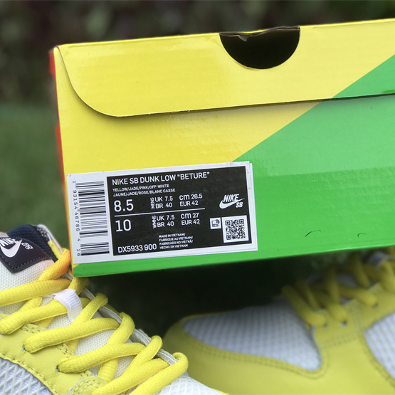 Nike SB Dunk Low Sneaker DX5933-900 - EUR FASHION