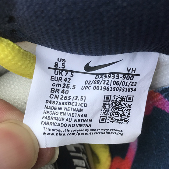 Nike SB Dunk Low Sneaker DX5933-900 - EUR FASHION