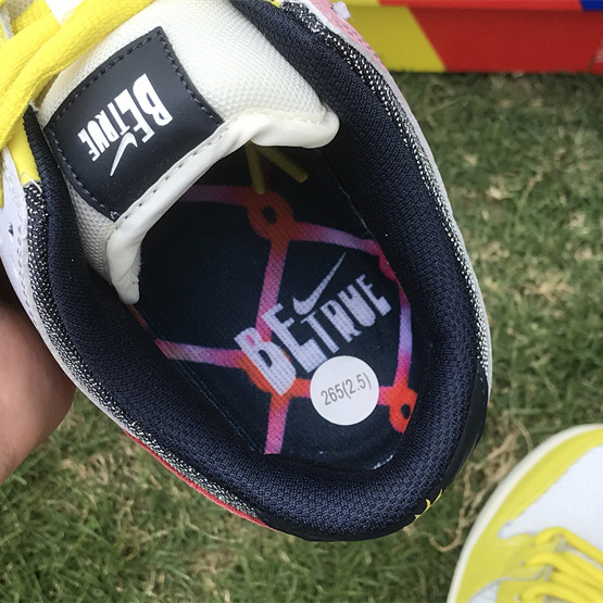 Nike SB Dunk Low Sneaker DX5933-900 - EUR FASHION