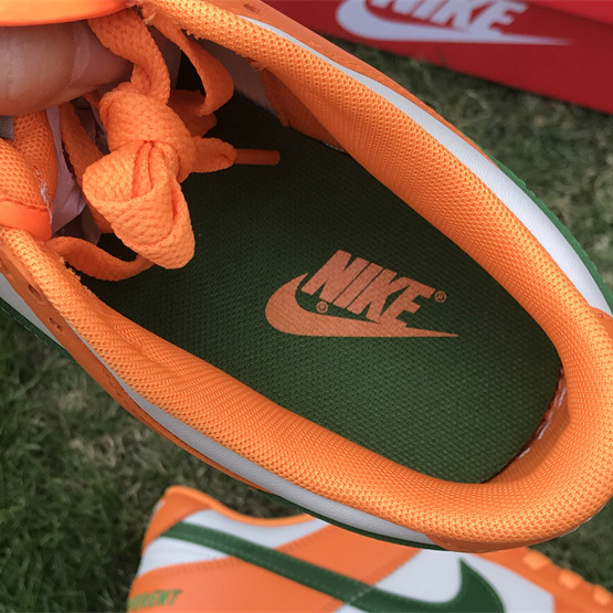 Nike SB Dunk Low „Famu“ Sneaker DR6188-800 - EUR FASHION
