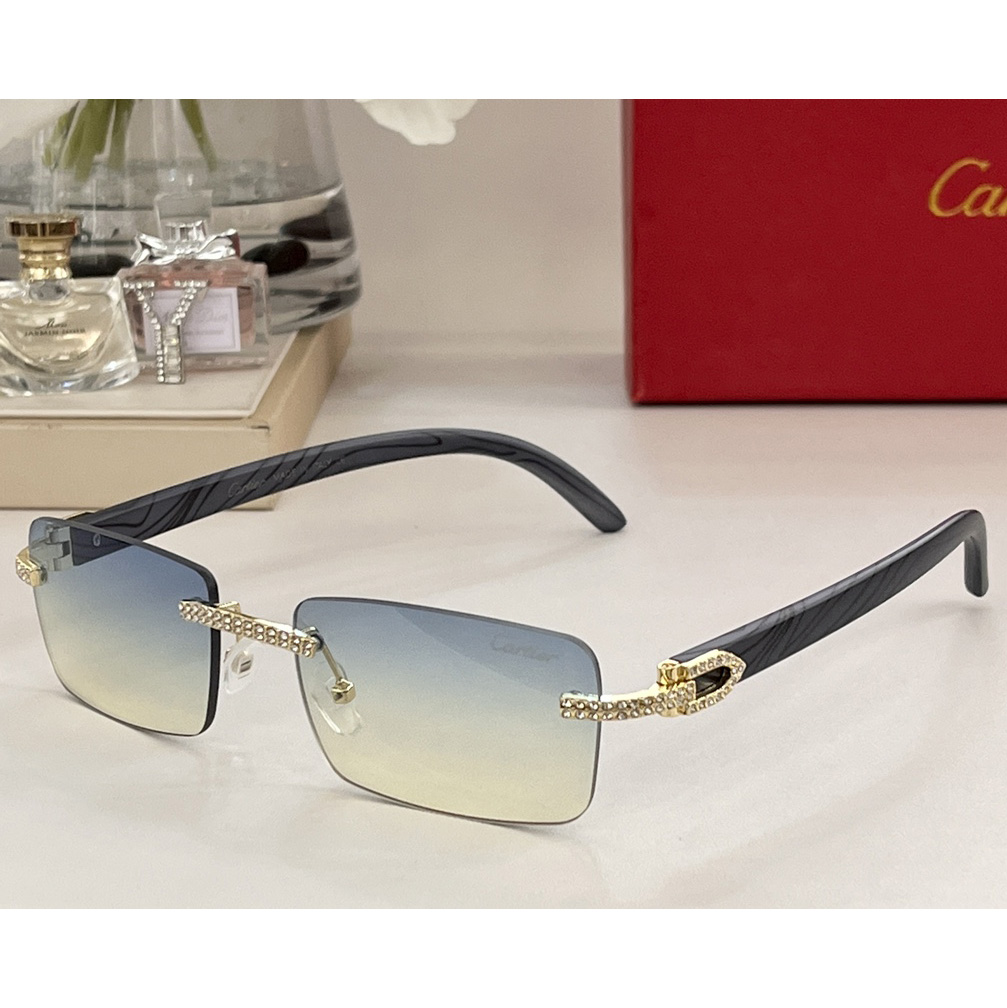 Cartier Sonnenbrille CT0144 - EUR FASHION