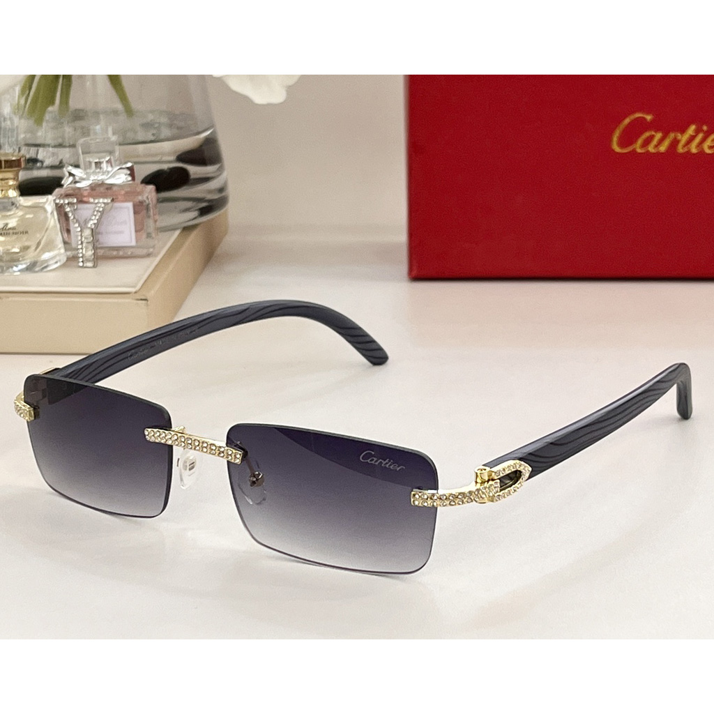 Cartier Sonnenbrille CT0144 - EUR FASHION