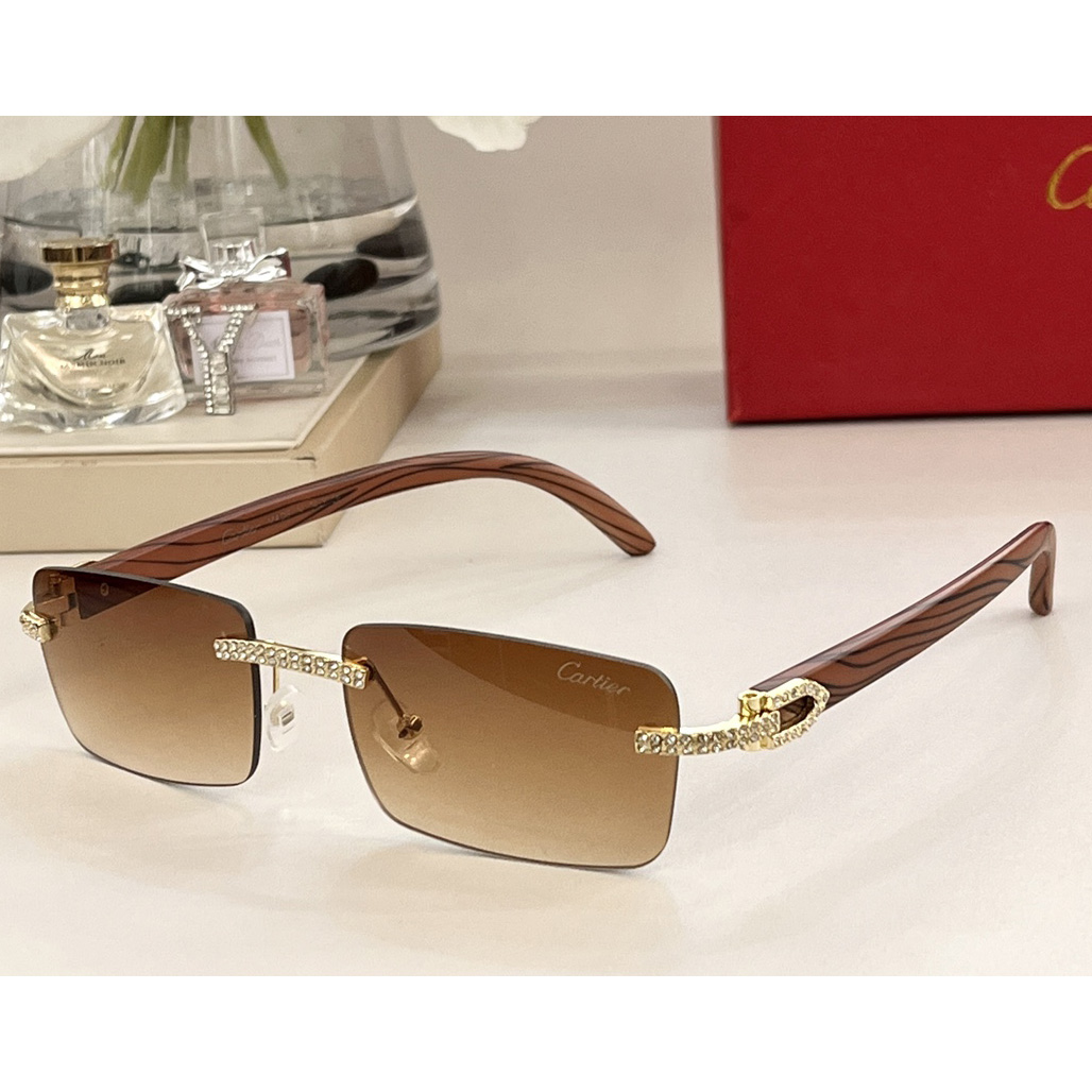 Cartier Sonnenbrille CT0144 - EUR FASHION