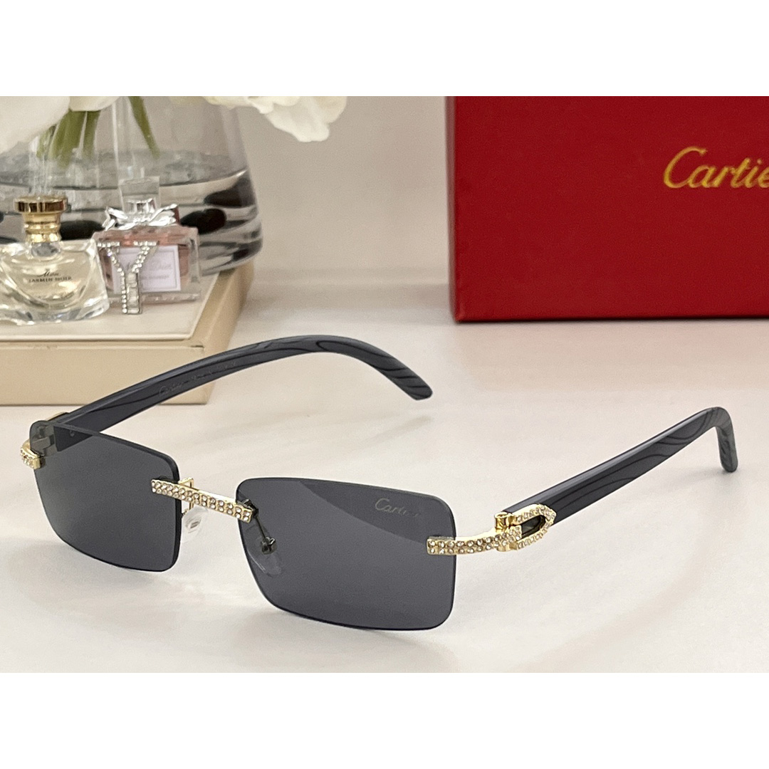 Cartier Sonnenbrille CT0144 - EUR FASHION