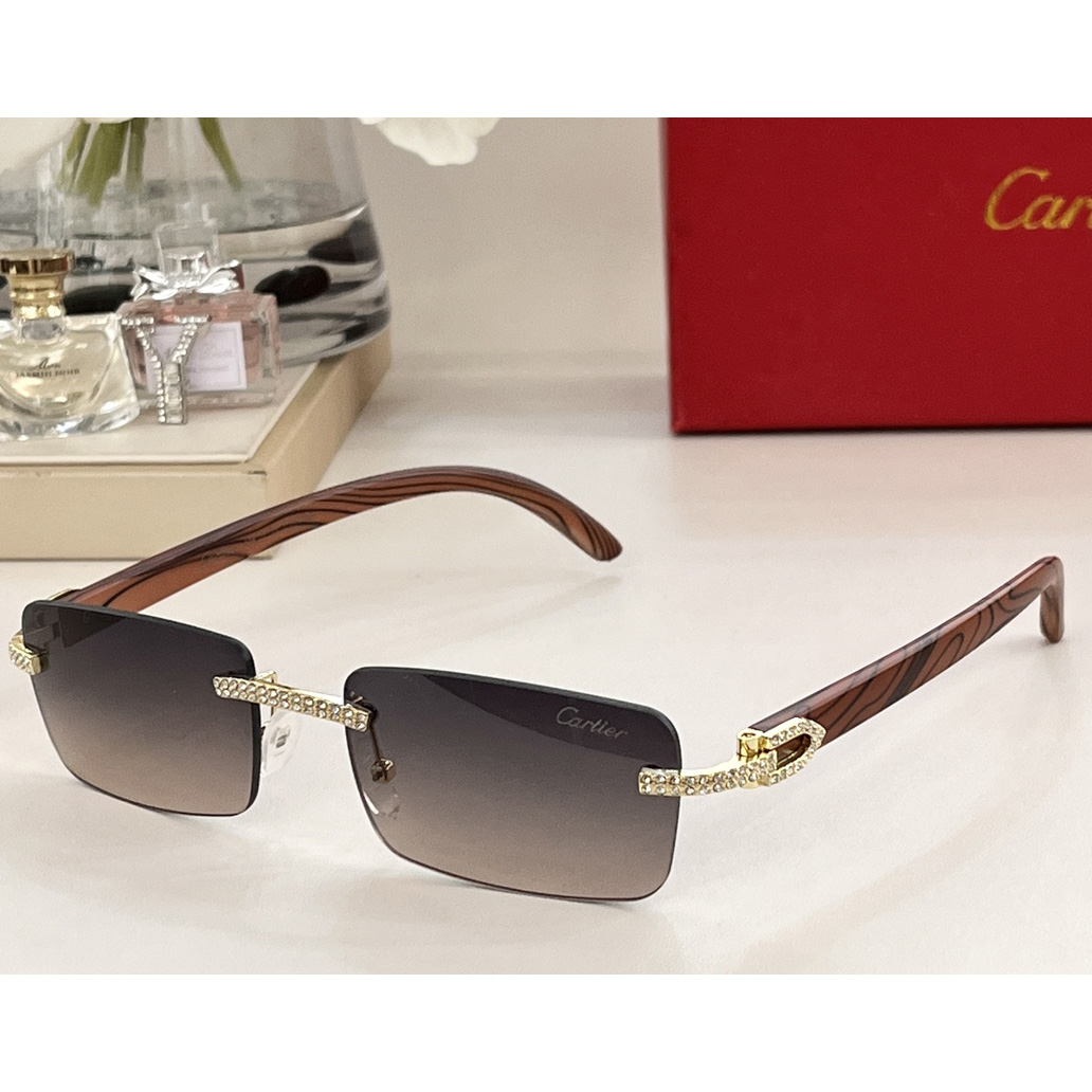 Cartier Sonnenbrille CT0144 - EUR FASHION