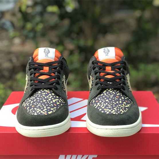 Nike SB Dunk Low Rainbow Trout Turnschuhe FH7523-300 - EUR FASHION