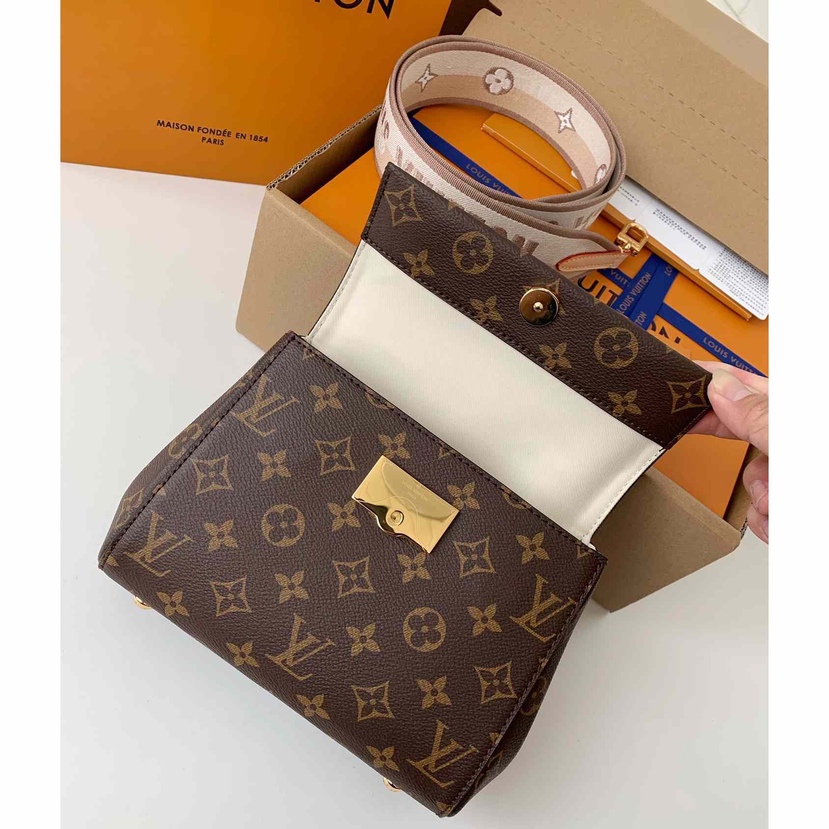 Louis Vuitton Cluny Mini Handtasche (20*16*7,5cm) M46055 - EUR FASHION