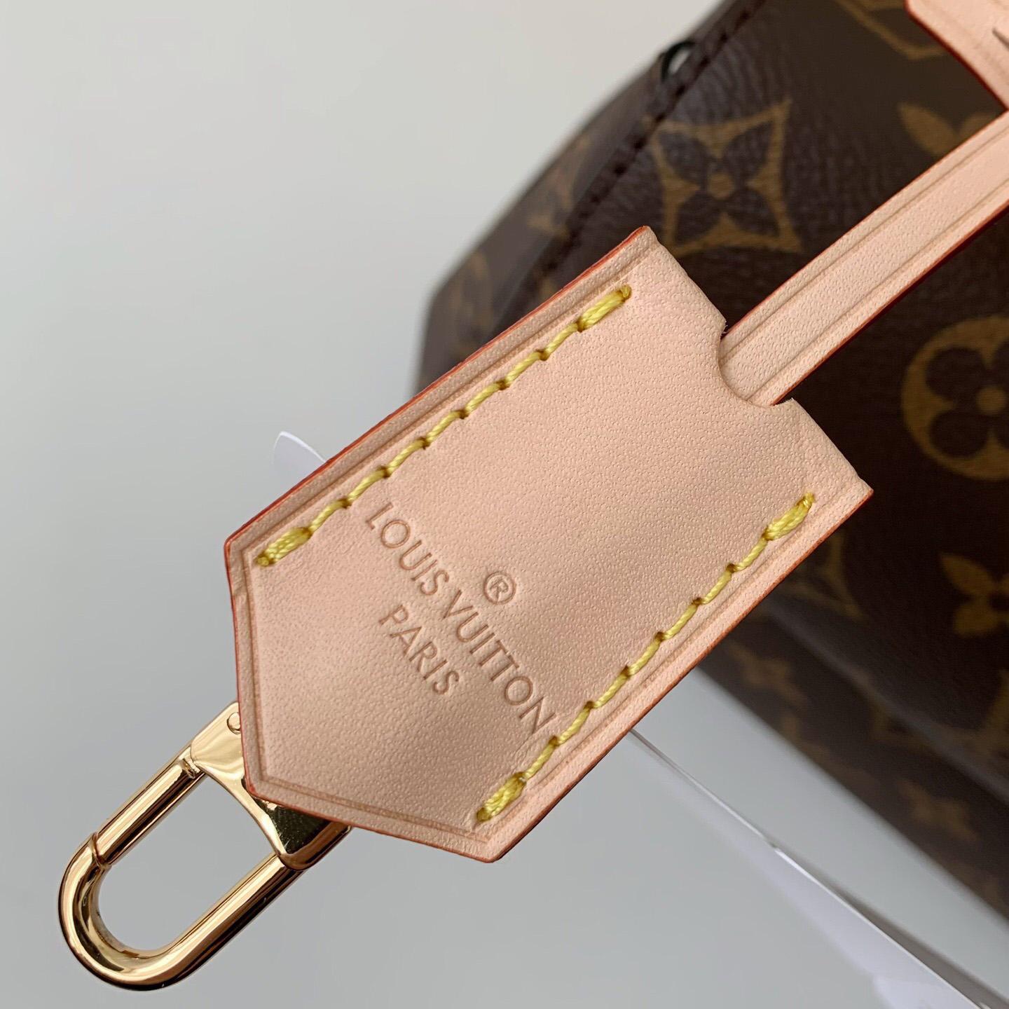 Louis Vuitton Cluny Mini Handtasche (20*16*7,5cm) M46055 - EUR FASHION