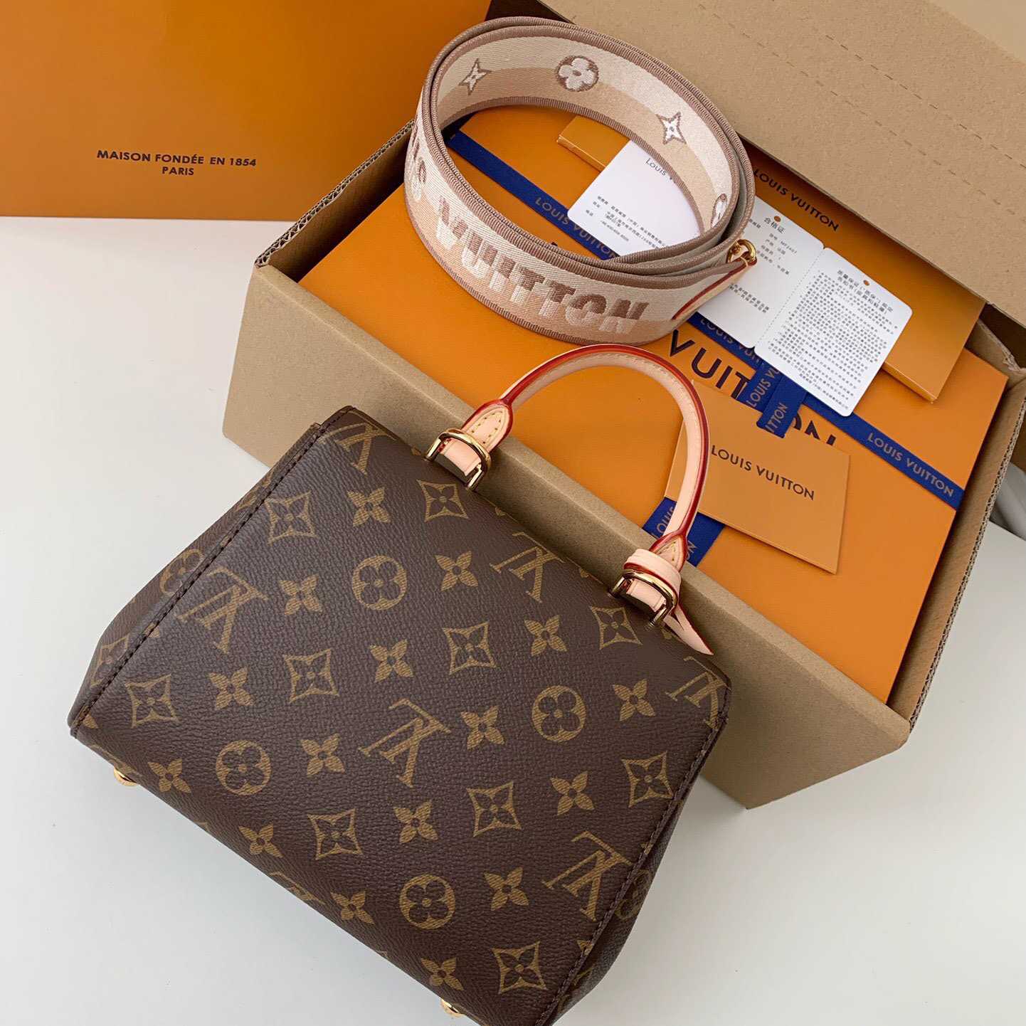 Louis Vuitton Cluny Mini Handtasche (20*16*7,5cm) M46055 - EUR FASHION