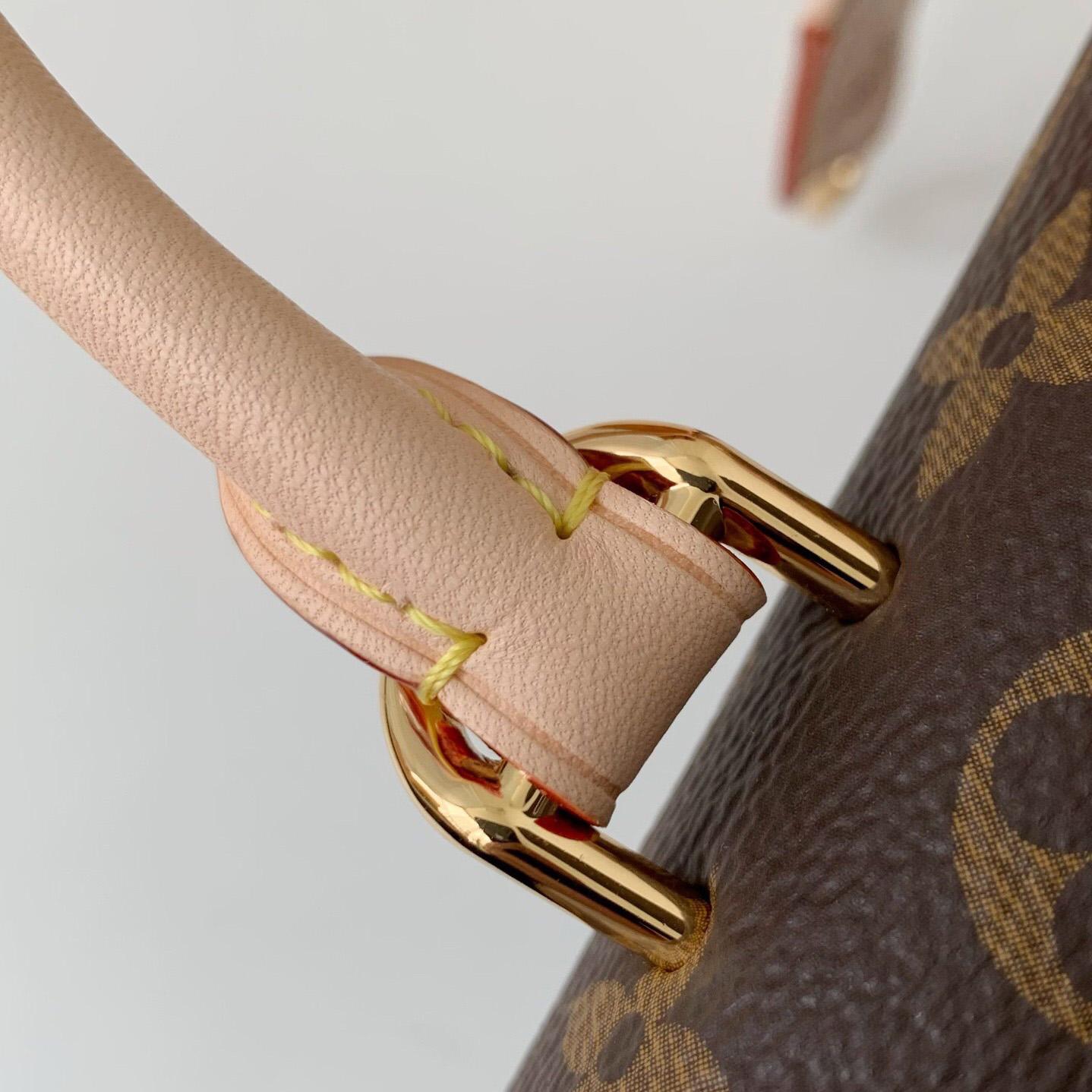 Louis Vuitton Cluny Mini Handtasche (20*16*7,5cm) M46055 - EUR FASHION