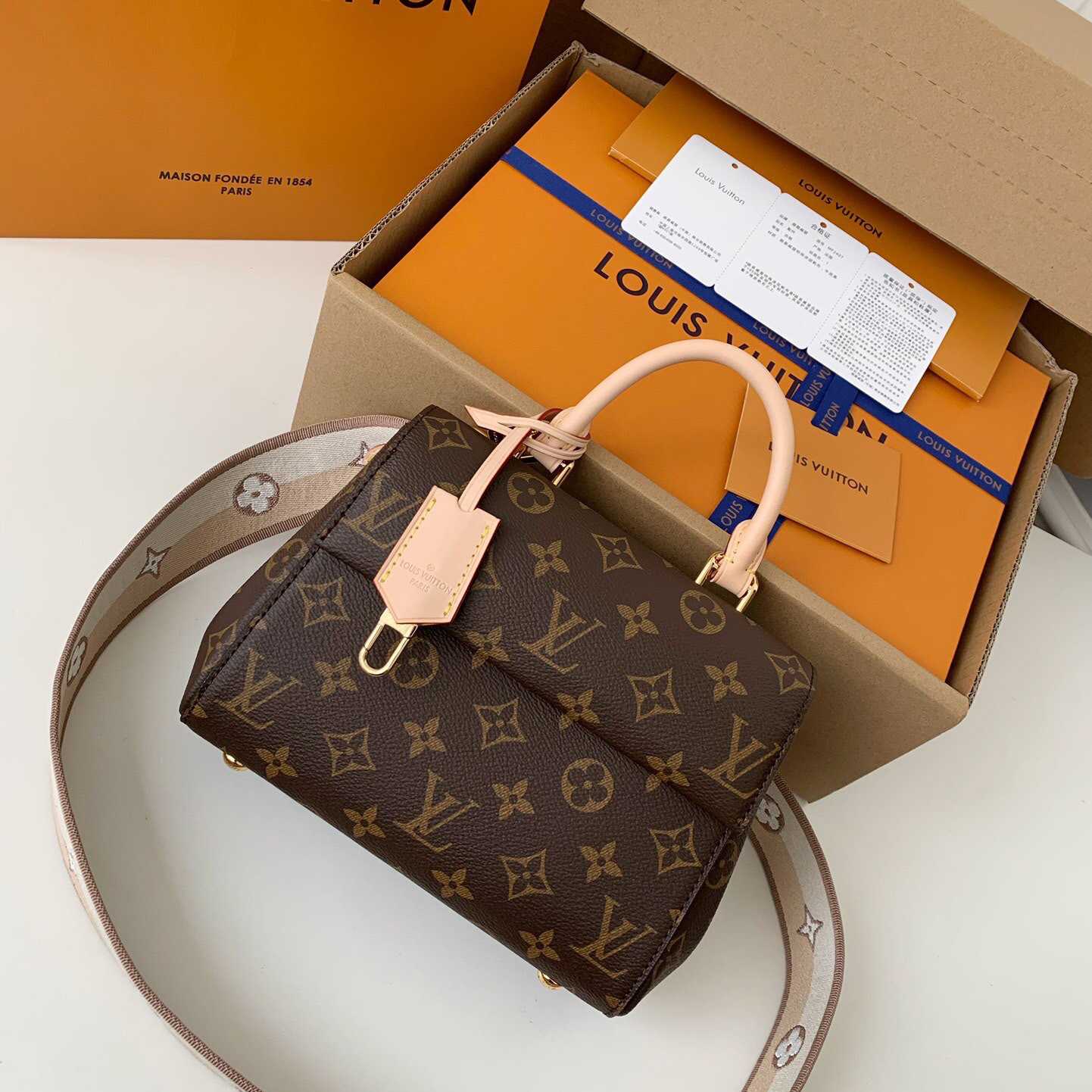 Louis Vuitton Cluny Mini Handtasche (20*16*7,5cm) M46055 - EUR FASHION