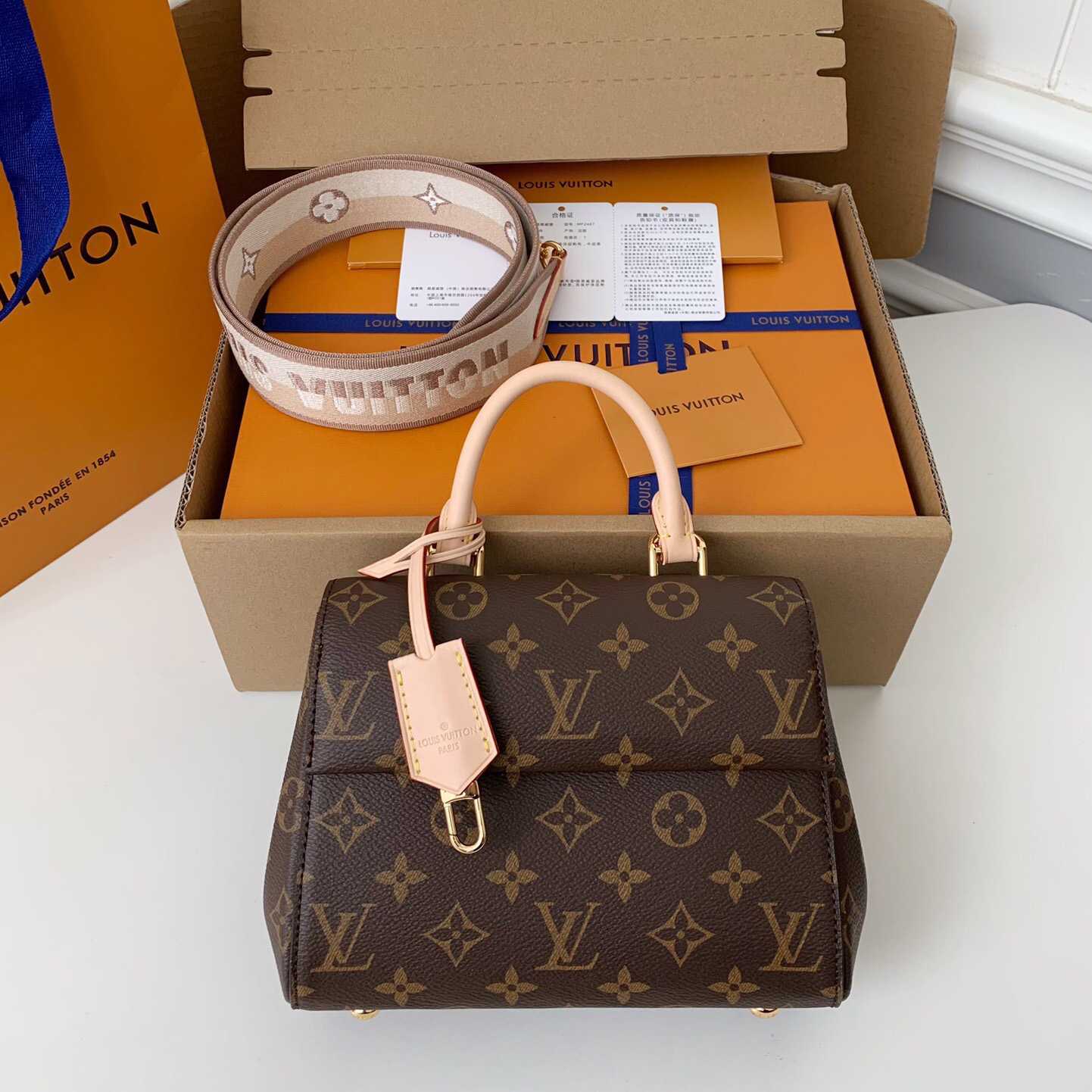 Louis Vuitton Cluny Mini Handtasche (20*16*7,5cm) M46055 - EUR FASHION