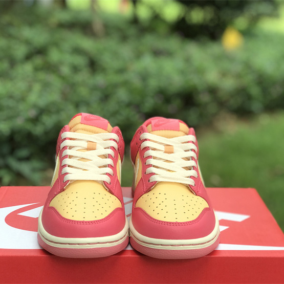 Nike SB Dunk Low Sneakers DH9765-200 - EUR FASHION