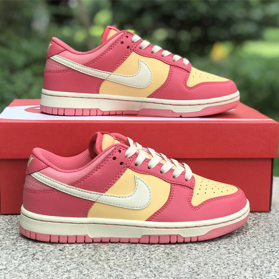 Nike SB Dunk Low Sneakers DH9765-200 - EUR FASHION