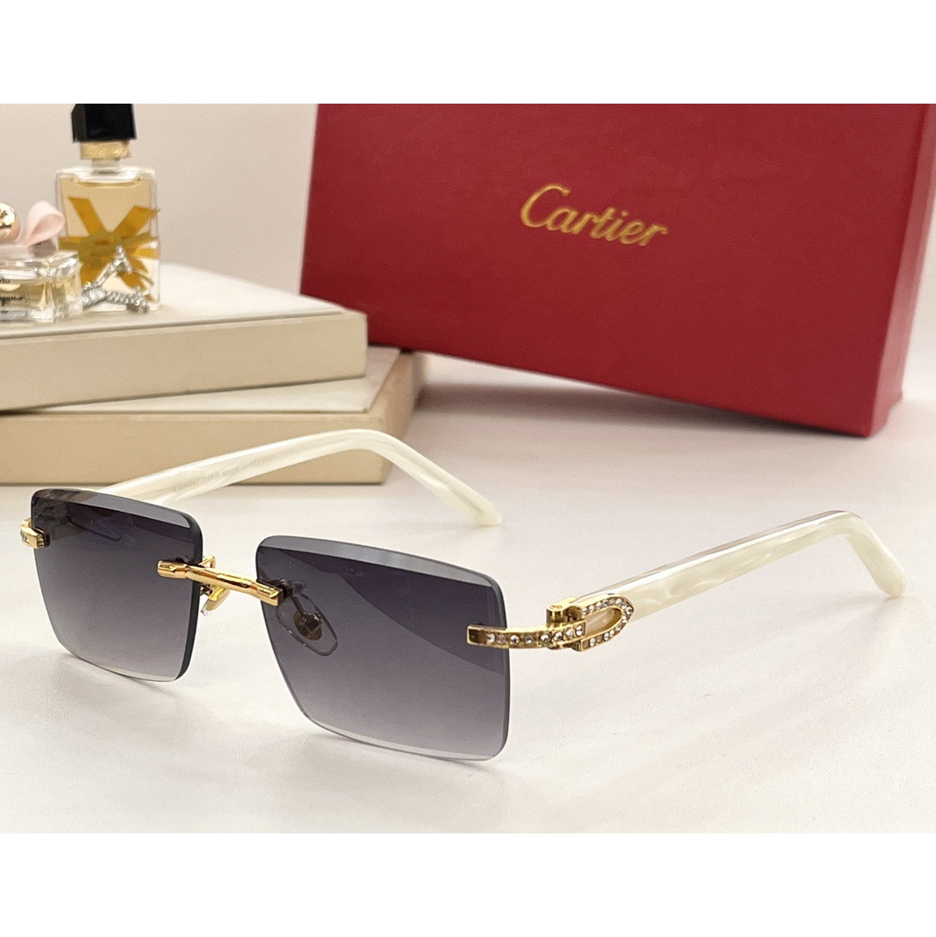 Cartier Sonnenbrille CT00521 - EUR FASHION