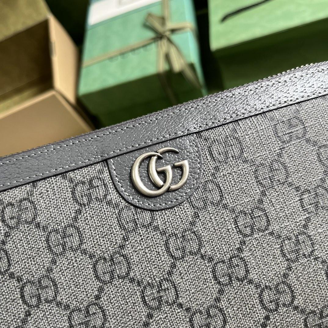 Gucci Ophidia GG Reiseetui (21-13-4cm) - EUR FASHION
