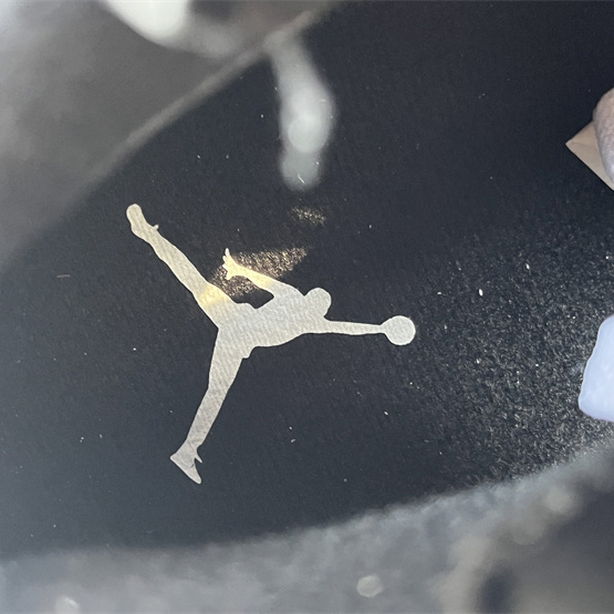 Air Jordan 6 „Reverse Oreo“ Sneaker CT8529-112<br>
 - EUR FASHION