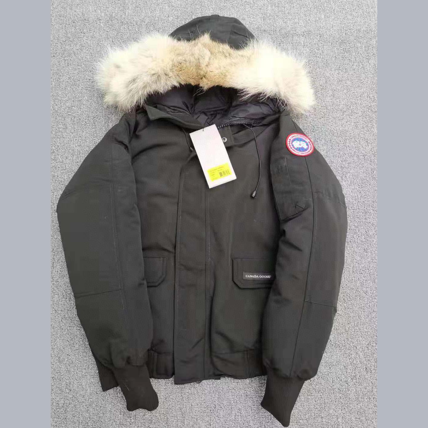 Canada Goose Chilliwack Bomber Heritage<br>
 - EUR FASHION