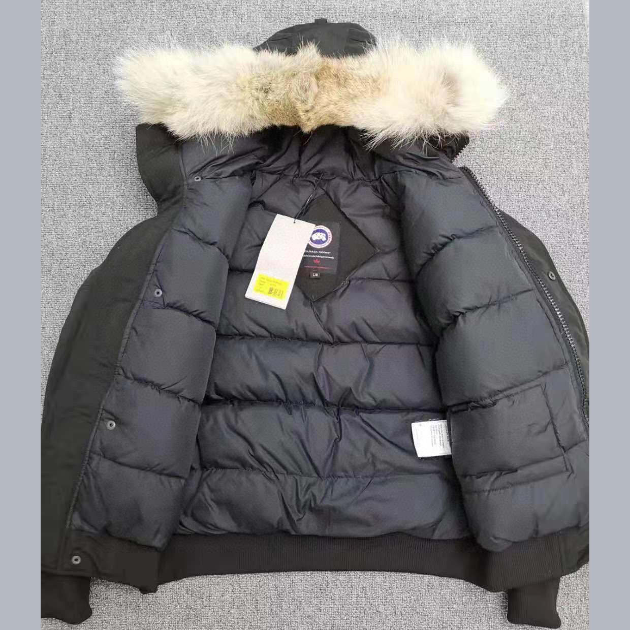 Canada Goose Chilliwack Bomber Heritage<br>
 - EUR FASHION