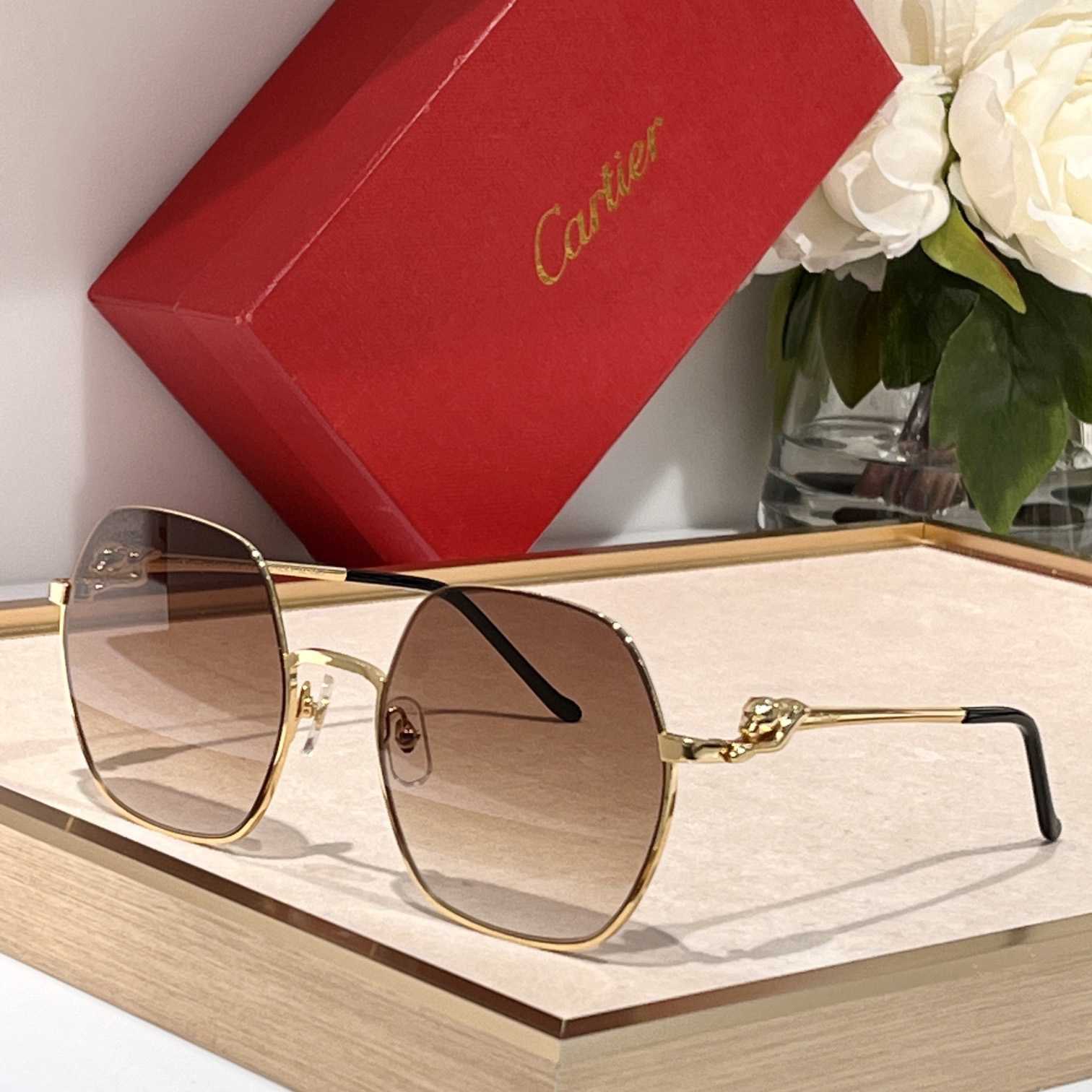 Cartier CT0267 Sunglasses - EUR FASHION