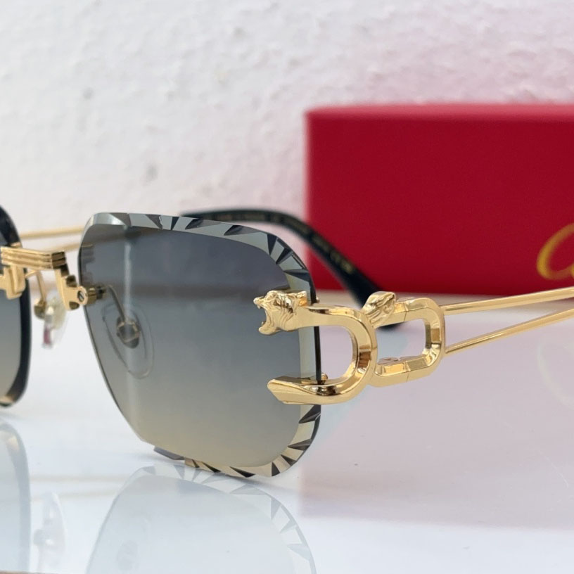 Cartier CT0540S Sunglasses - EUR FASHION