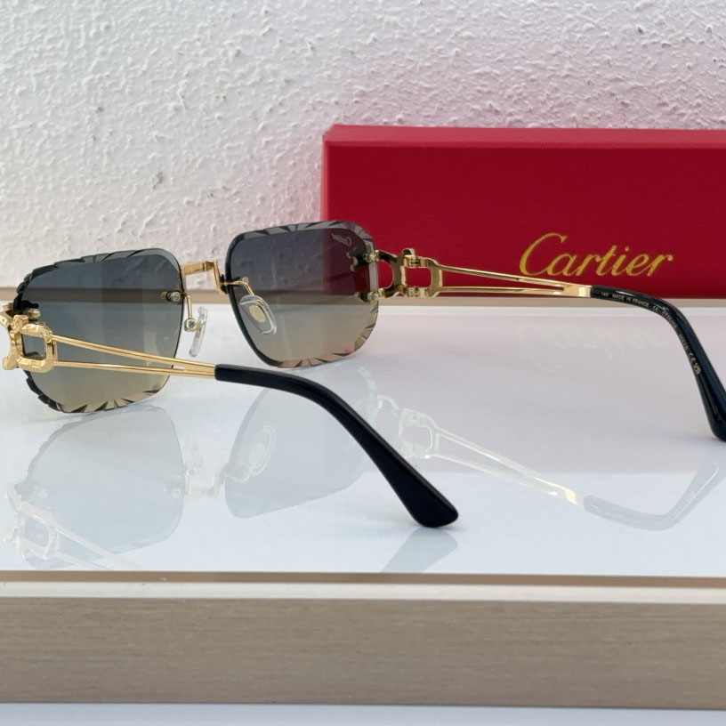 Cartier CT0540S Sunglasses - EUR FASHION