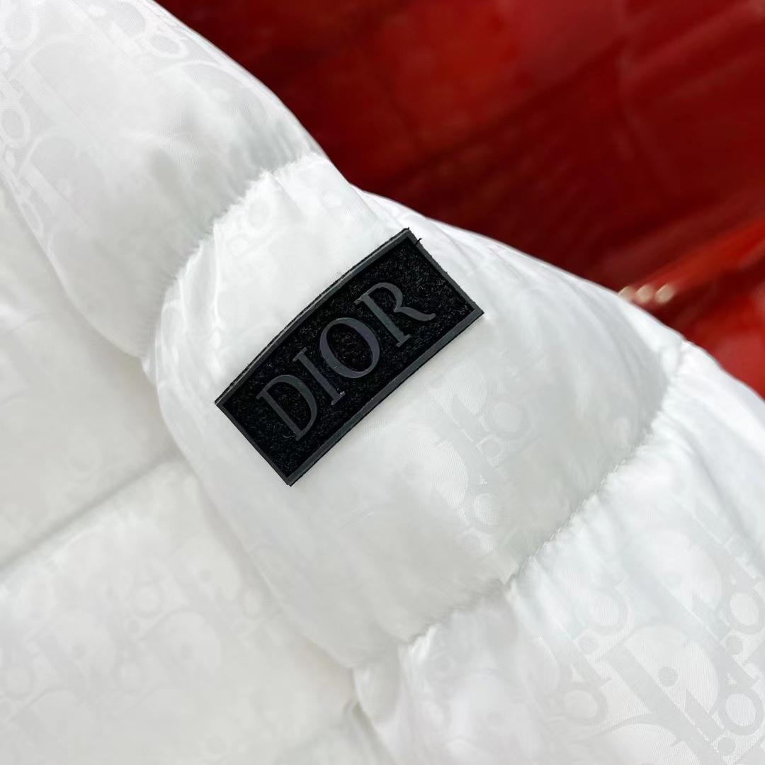 Dior Oblique Down Jacket  - EUR FASHION