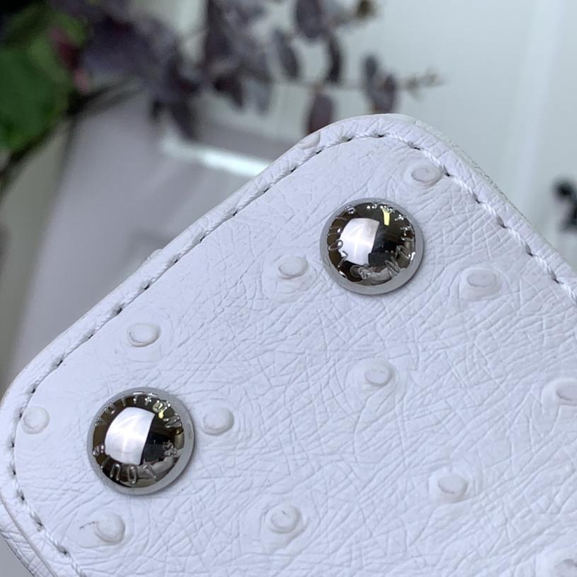 Louis Vuitton Capucines BB   M48865  16.3 x 11 x 6.5 cm - EUR FASHION