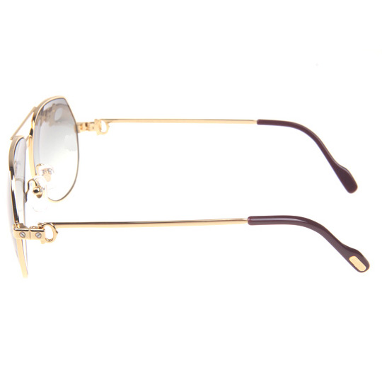 Cartier CT 1324912 Sunglasses In Gold Grey - EUR FASHION
