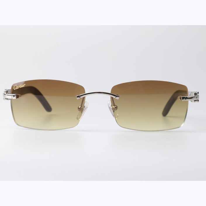 Cartier CT_3524012 Black Buffalo Sunglasses In Silver Brown - EUR FASHION