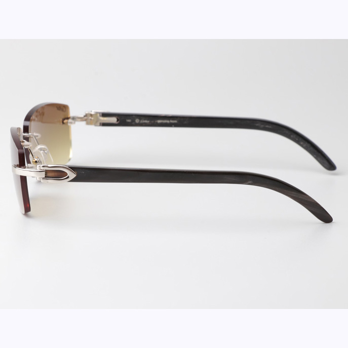Cartier CT_3524012 Black Buffalo Sunglasses In Silver Brown - EUR FASHION