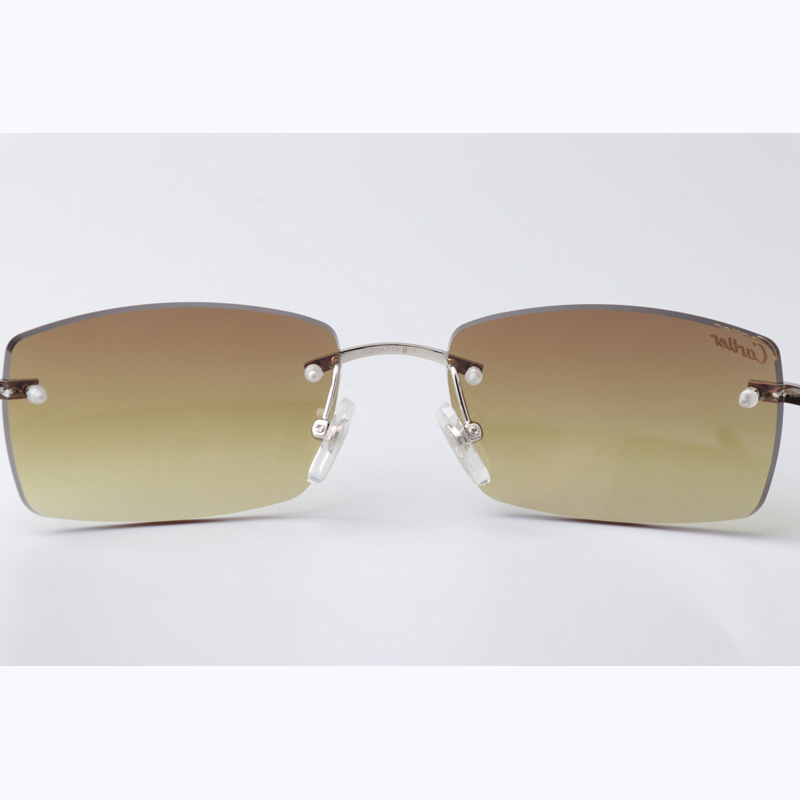 Cartier CT_3524012 Black Buffalo Sunglasses In Silver Brown - EUR FASHION