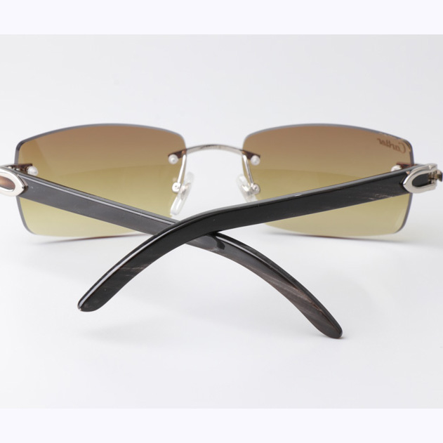 Cartier CT_3524012 Black Buffalo Sunglasses In Silver Brown - EUR FASHION