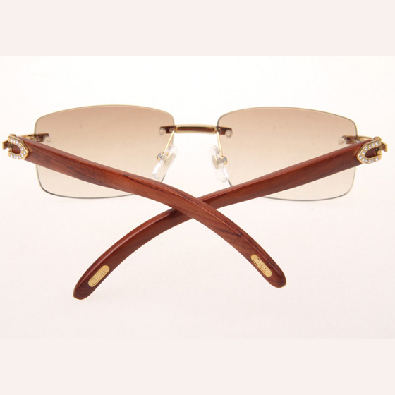 Cartier CT_3524012 Diamond Wood Eyeglasses In Gold_Brown - EUR FASHION
