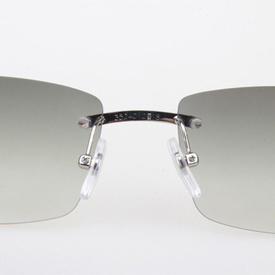 Cartier CT_3524012 White Buffalo Sunglasses In Silver Grey - EUR FASHION