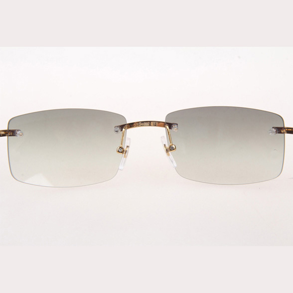 Cartier CT_3524012 White Buffalo Sunglasses In Gold Grey - EUR FASHION