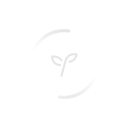 Balenciaga Mono Rec Sonnenbrille BB0041S - EUR FASHION